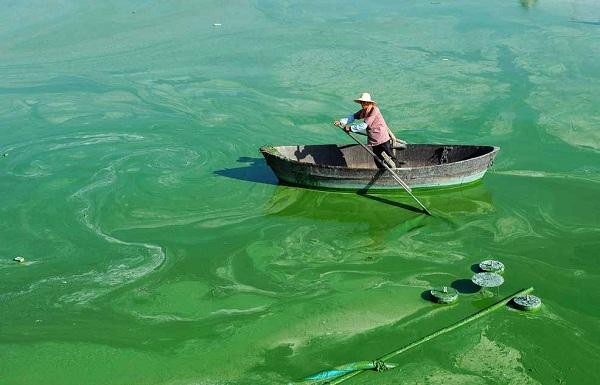 1750128207707691.jpg 6b73ccf132450473c0f13d0a0be01b88_1749885151521570.jpg