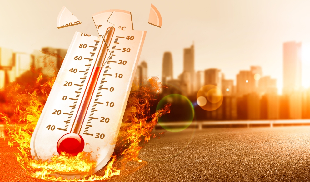 1750903926182341.png 1750903926182341.png