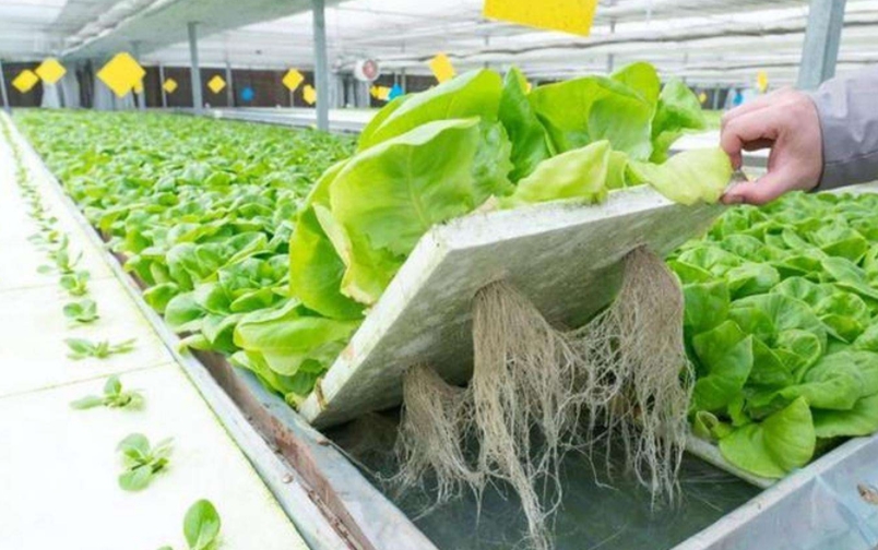 1756693862235392.jpg 1756693862235392.jpg