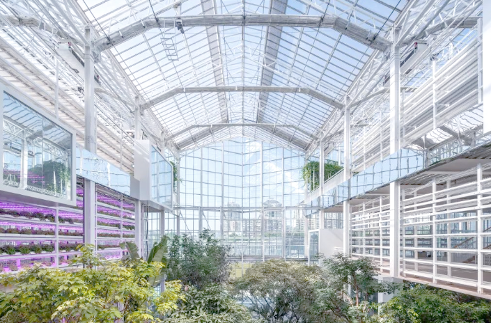 1761615319958066.png 垂直農(nóng)村.png