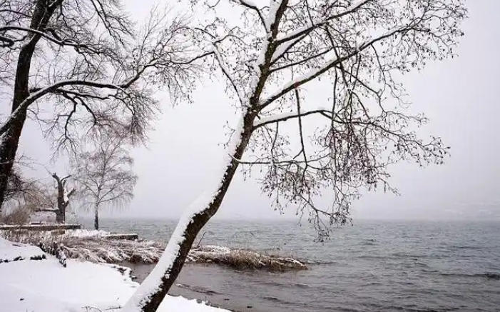 1767751148986632.jpg a54b8ed7519aac63968d626face0847f_1767664816959892.jpg