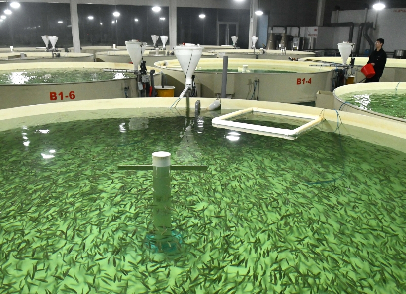 1773363504442725.png 1773363504442725.png