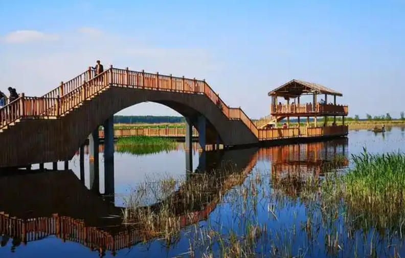 1774601257327040.jpg 1774601257327040.jpg